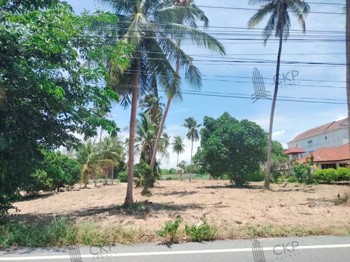 ที่ดินสวย 8 ไร่ 83 ตร.วา (แบ่งขาย) เหมาะสำหรับทำโรงแรม,รีสอร์ท,หมู่บ้าน ห่างจากถ.สุขุมวิท แค่ 5 นาที ไม่ไกลจากตัวเมืองพัทยา – รูปที่ 3