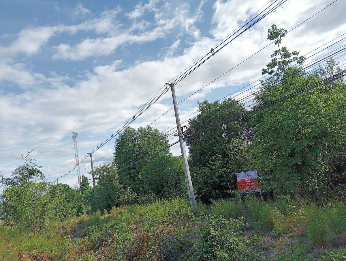 Land for Sale: 32 Rai 3 Ngan 32 sq.w. on Phahonyothin Road, near Wat Dong Lan – รูปที่ 2