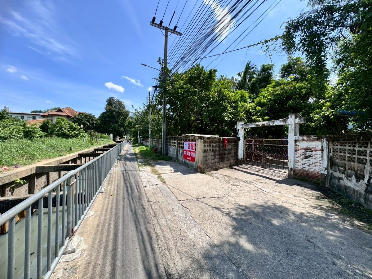 Beautiful land for sale! Wat Phai Ngeon Chotaram 2 Rai! ** (N.1769) Beautiful land for sale! Wat Phai Ngeon Chotaram 2 Rai! ** (N.1769)