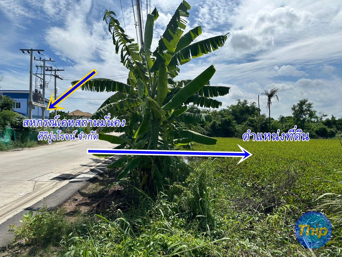 ที่ดิน เปล่า 2-3-22ไร่ บางบอน3 ซอย8 ติดถนนสาธารณะ สาธารณูปโภค ถึงแล้ว  – รูปที่ 2