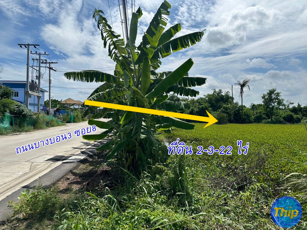 ที่ดิน เปล่า 2-3-22ไร่ บางบอน3 ซอย8 ติดถนนสาธารณะ สาธารณูปโภค ถึงแล้ว 