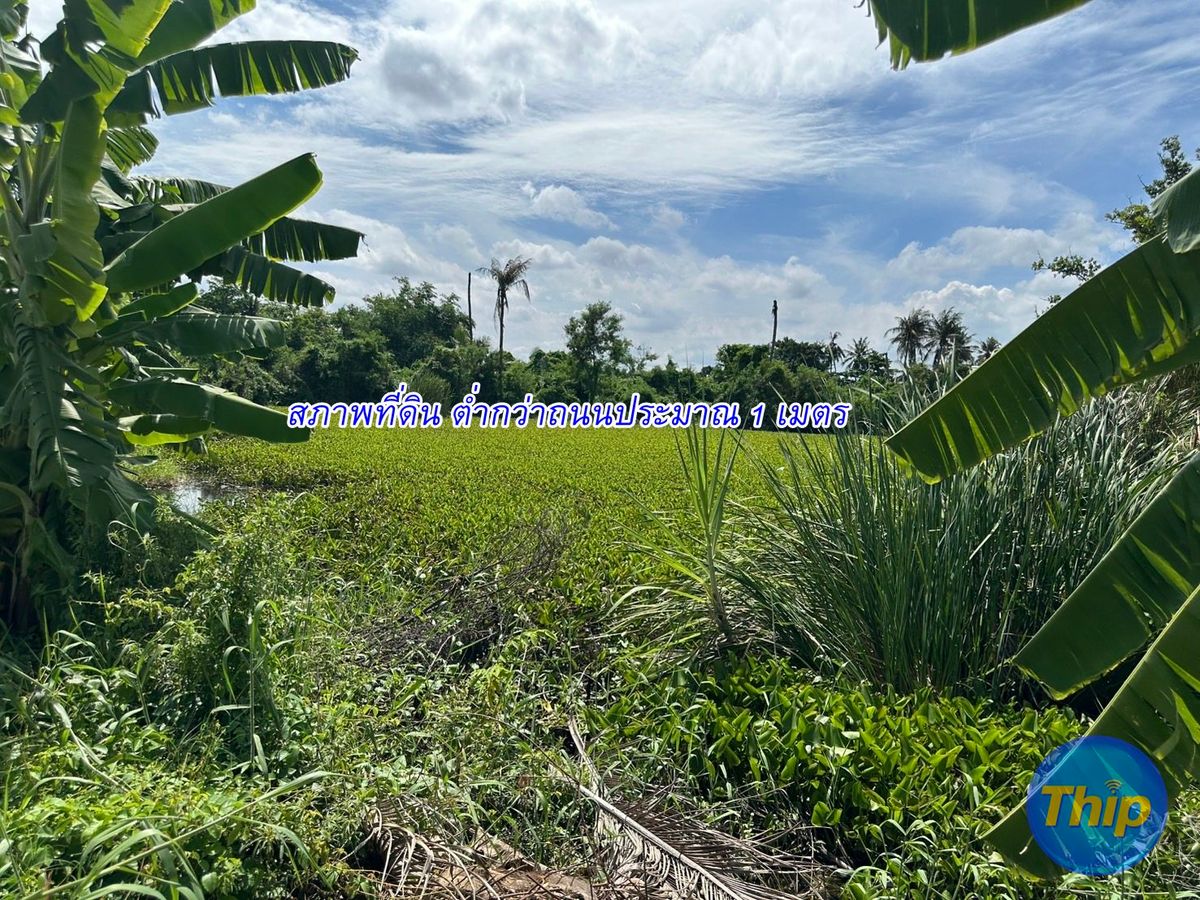 ที่ดิน เปล่า 2-3-22ไร่ บางบอน3 ซอย8 ติดถนนสาธารณะ สาธารณูปโภค ถึงแล้ว  – รูปที่ 3