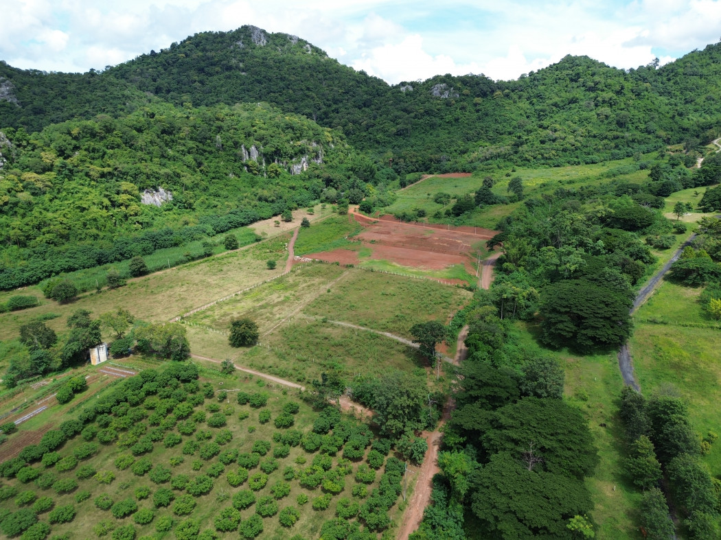 ขาย ที่ดิน เขาใหญ่ ต.​พญาเย็น​ อ.ปากช่อง 7 ไร่ ​แค่เห็นวิว ก็มีความสุขแล้ว​ – รูปที่ 3