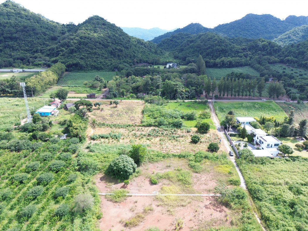 ขาย ที่ดิน เขาใหญ่ ต.​หนองน้ำแดง​ อ.ปากช่อง 3 ไร่ 1 งาน 85 ตรว ​แค่เห็นวิว ก็มีความสุขแล้ว – รูปที่ 3