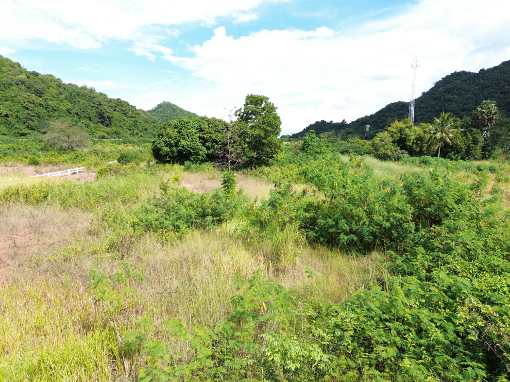 ขาย ที่ดิน เขาใหญ่ ต.​หนองน้ำแดง​ อ.ปากช่อง 3 ไร่ 1 งาน 85 ตรว ​แค่เห็นวิว ก็มีความสุขแล้ว – รูปที่ 4