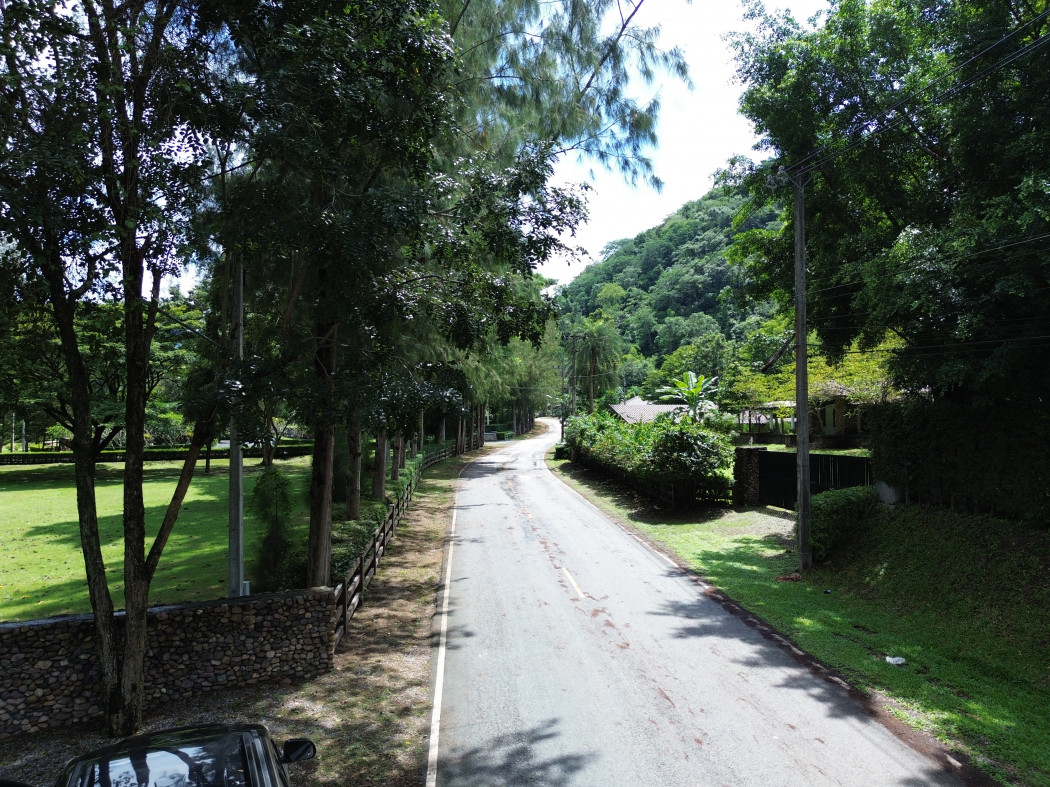 ขาย ที่ดิน เขาใหญ่ ต.​พญาเย็น​ อ.ปากช่อง 6 ไร่ 3 งาน 94.8 ตรว วิวเทพ ติดลำธาร – รูปที่ 3