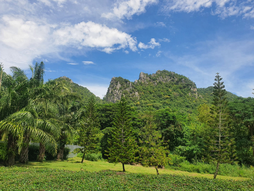 ขาย ที่ดิน เขาใหญ่ ต.​พญาเย็น​ อ.ปากช่อง 6 ไร่ 3 งาน 94.8 ตรว วิวเทพ ติดลำธาร – รูปที่ 4
