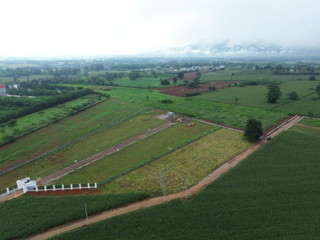 ขาย ที่ดิน เขาใหญ่ ต.​หมูสี​ อ.ปากช่อง 2 ไร่ ​ที่เป็นเนิน เห็นวิว360องศา เห็นเทือกเขาใหญ่ชัดเจน – รูปที่ 3