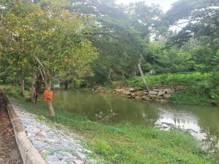 ขาย ที่ดิน เขาใหญ่ ต.ขนงพระ อ.ปากช่อง 3 ไร่ 2 งาน 96 ตรว ที่ติดลำตะคองคลอง มีน้ำไหลผ่านตลอดปี – รูปที่ 3
