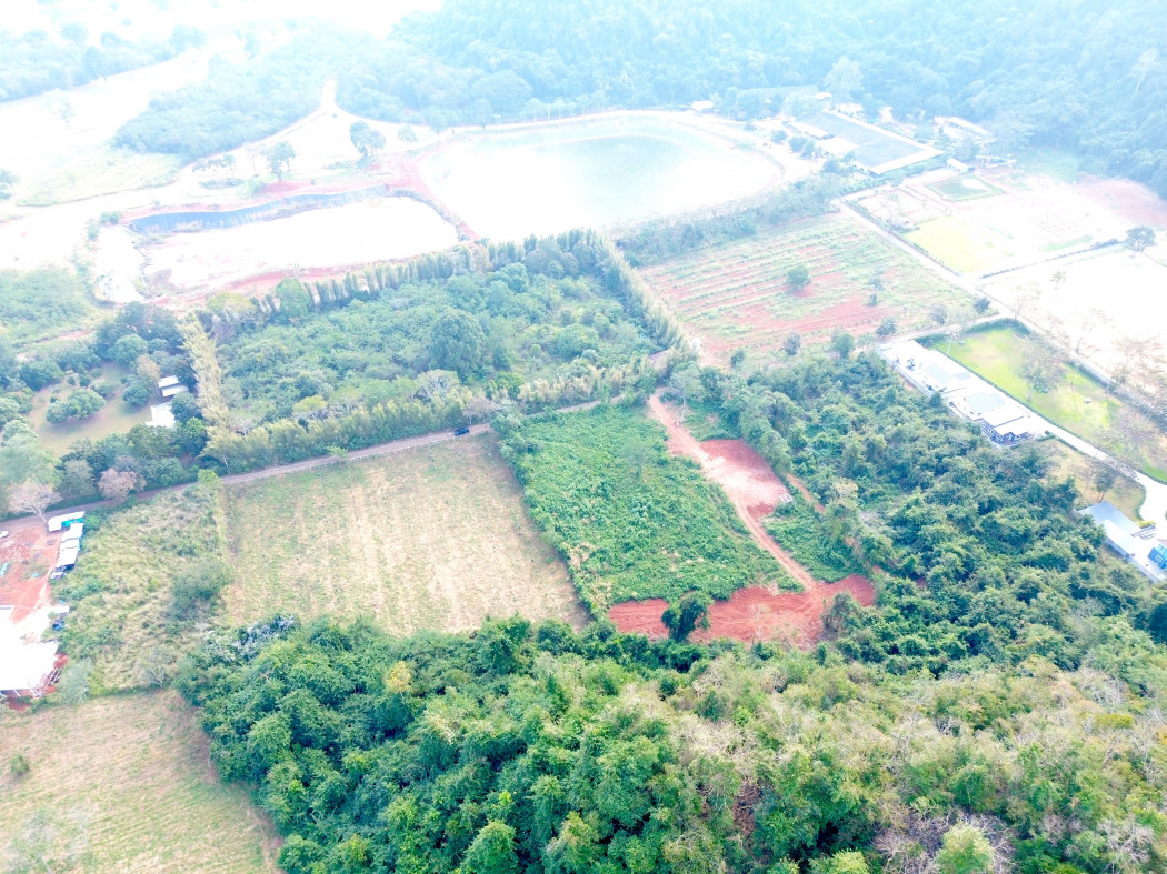 ขาย ที่ดิน เขาใหญ่ ต.​หมูสี​ อ.ปากช่อง 4 ไร่ 2 งาน 45 ตรว ​ด้านหลังติดภูเขา น่าอยู่มาก – รูปที่ 3