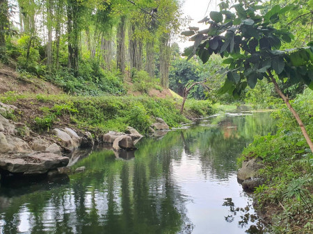 ขาย ที่ดิน ต.พญาเย็น อ.ปากช่อง 47 ไร่ ติดคลอง มีน้ำตลอดปี หายาก – รูปที่ 2