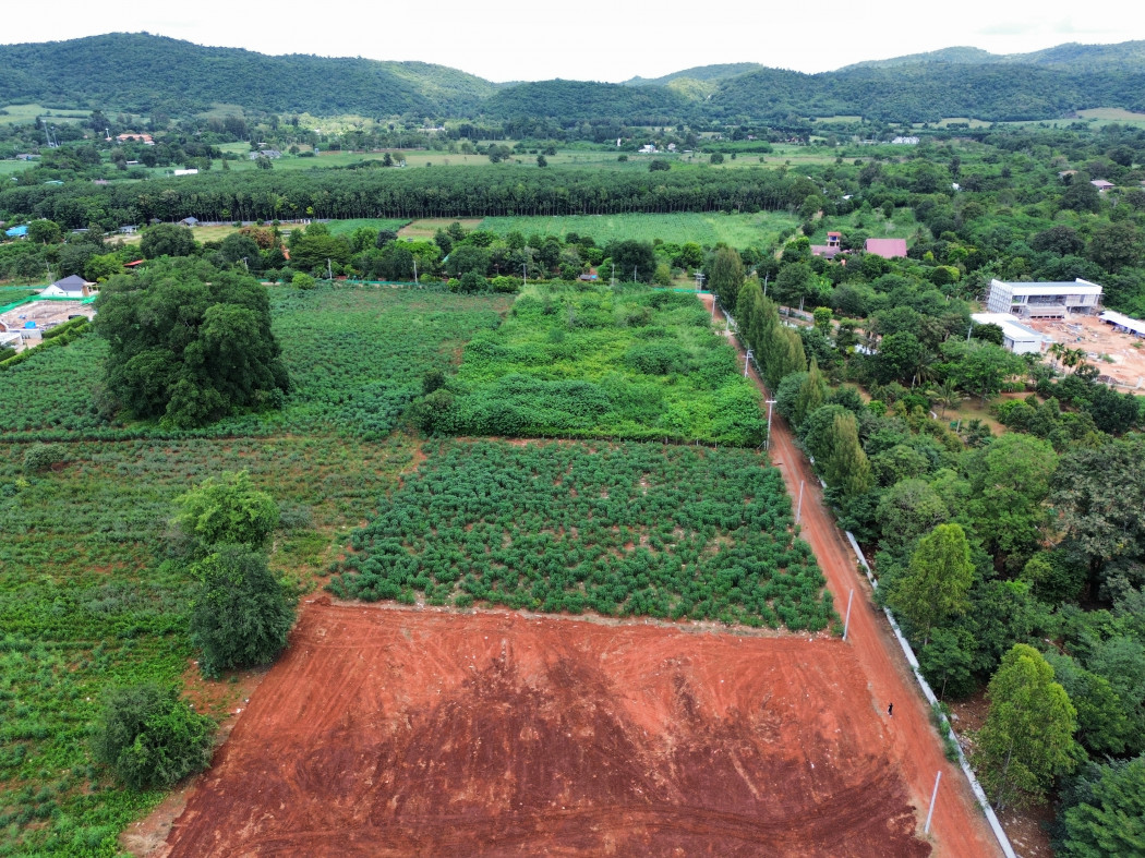 ขาย ที่ดิน เขาใหญ่ ต.​หมูสี อ.ปากช่อง 1 ไร่ 1 งาน ​แค่เห็นวิว ก็มีความสุขแล้ว​ – รูปที่ 2