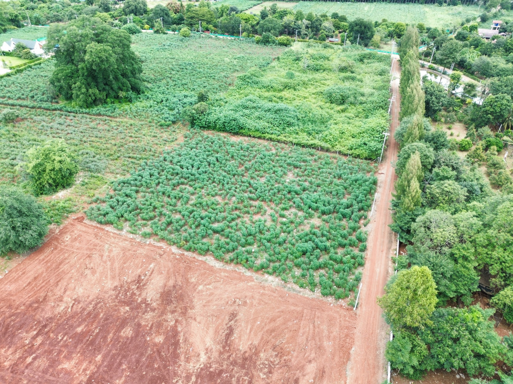 ขาย ที่ดิน เขาใหญ่ ต.​หมูสี อ.ปากช่อง 1 ไร่ 1 งาน ​แค่เห็นวิว ก็มีความสุขแล้ว​ – รูปที่ 3