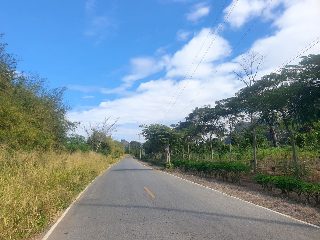 ขาย ที่ดิน เขาใหญ่ ต.​หนองน้ำแดง​ อ.ปากช่อง 4 ไร่ ​ด้านหลังติดภูเขา น่าอยู่มาก – รูปที่ 2