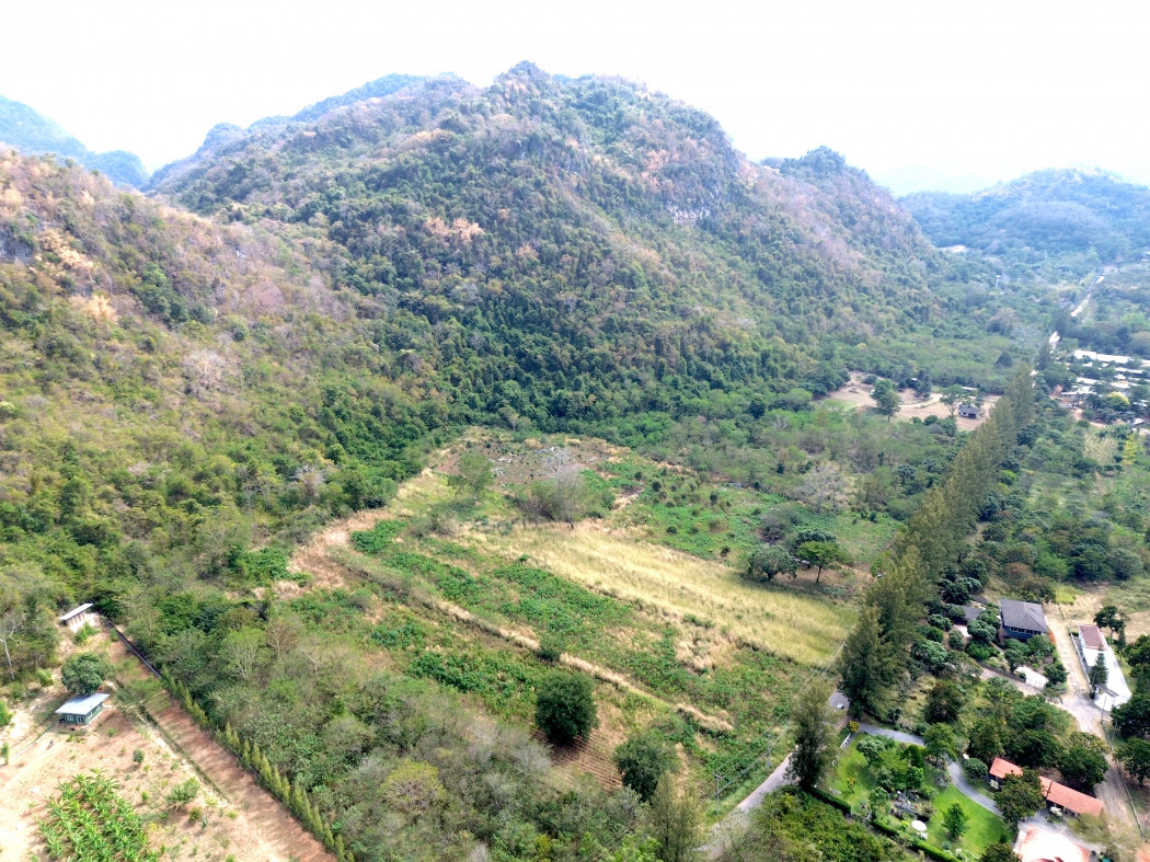 ขาย ที่ดิน เขาใหญ่ ต.​หนองน้ำแดง​ อ.ปากช่อง 4 ไร่ ​ด้านหลังติดภูเขา น่าอยู่มาก – รูปที่ 4