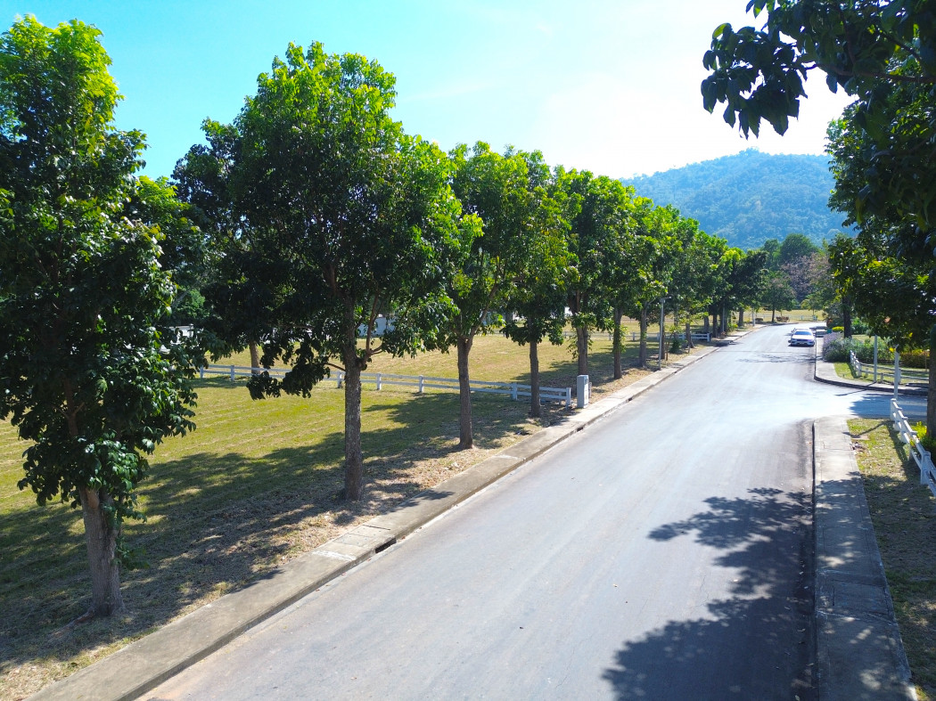ขาย ที่ดิน เขาใหญ่ ต.​หมูสี​ อ.ปากช่อง 396 ตรว ​แค่เห็นวิว ก็มีความสุขแล้ว – รูปที่ 2