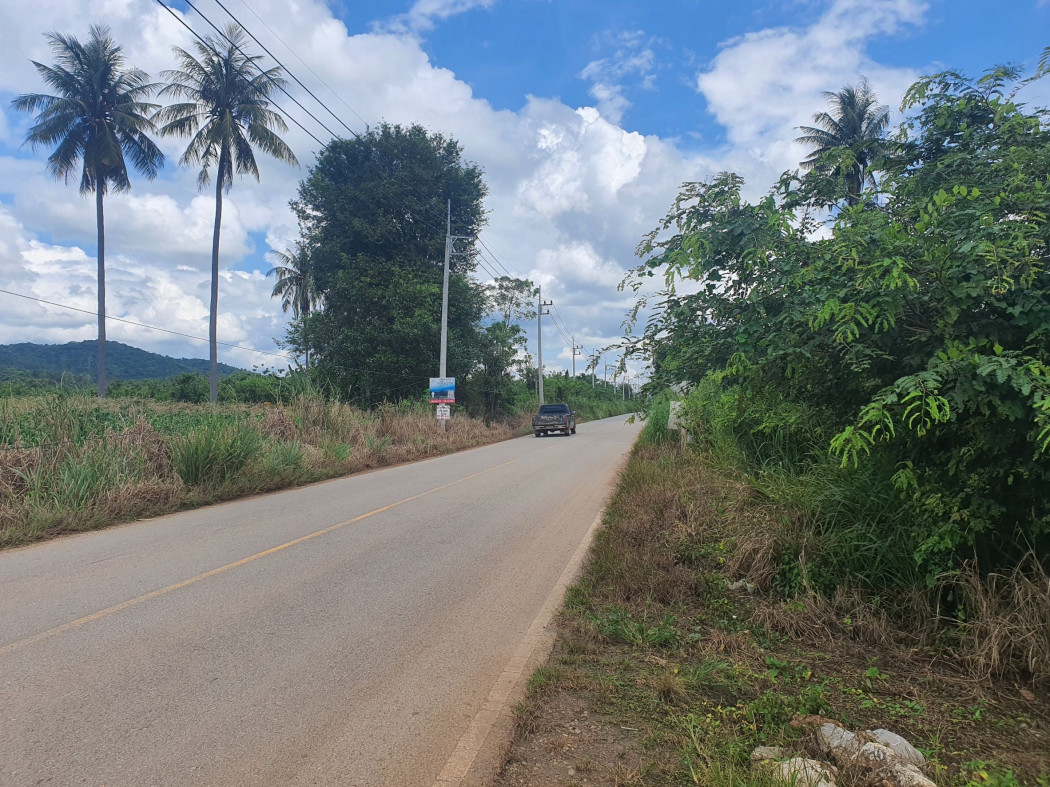 ขาย ที่ดิน เขาใหญ่ ต.หมูสี อ.ปากช่อง 5 ไร่ ถนนดี วิวสวย คุ้มสุดๆ. – รูปที่ 2