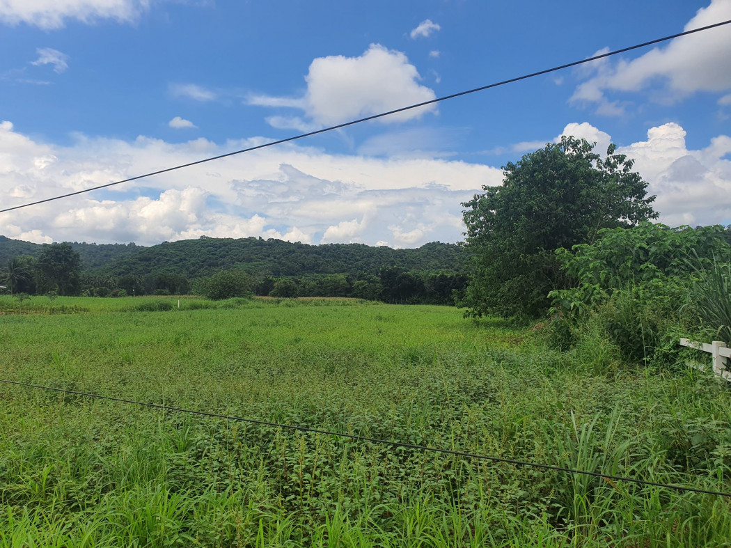 ขาย ที่ดิน เขาใหญ่ ต.หมูสี อ.ปากช่อง 5 ไร่ ถนนดี วิวสวย คุ้มสุดๆ. – รูปที่ 3