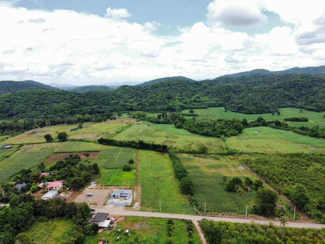 ขาย ที่ดิน เขาใหญ่ ต.หมูสี อ.ปากช่อง 5 ไร่ ถนนดี วิวสวย คุ้มสุดๆ. – รูปที่ 4