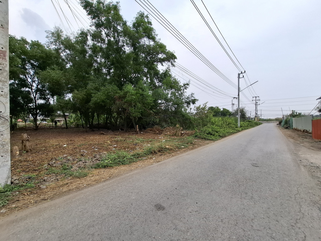 Land for sale, Bongkot 38, size 200 sq w, near Rangsit-Nakhon Nayok Road, only 3.5 km. DD – รูปที่ 2