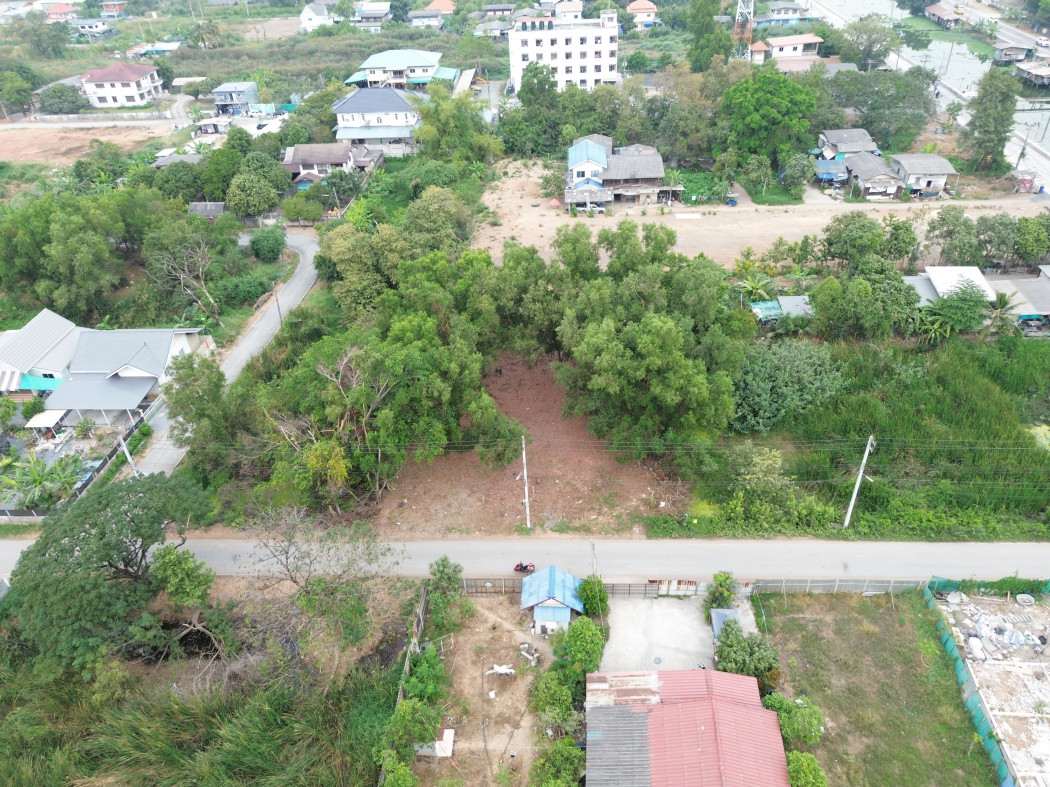 Land for sale, Bongkot 38, size 200 sq w, near Rangsit-Nakhon Nayok Road, only 3.5 km. DD – รูปที่ 4