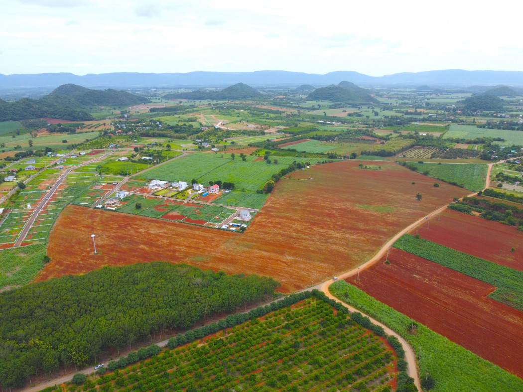 ขาย ที่ดิน เขาใหญ่ ต.​คลองม่วง​ อ.ปากช่อง 98 ไร่ ​ที่เป็นเนิน เห็นวิว360องศา​ – รูปที่ 3