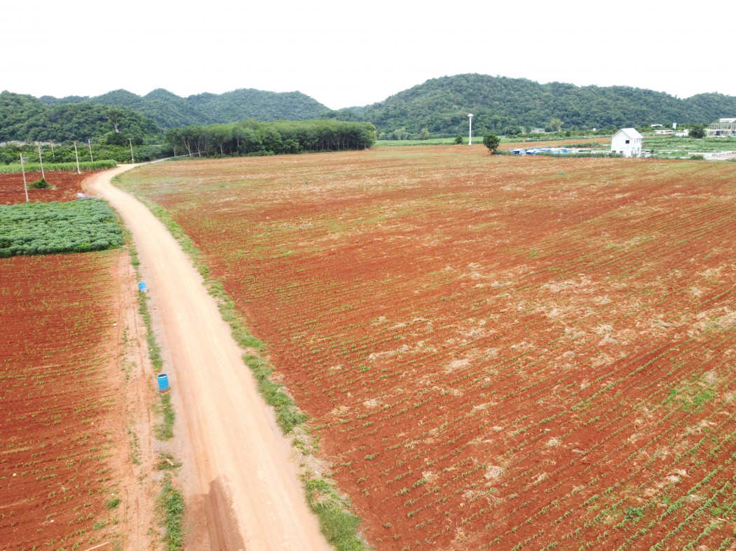 ขาย ที่ดิน เขาใหญ่ ต.​คลองม่วง​ อ.ปากช่อง 98 ไร่ ​ที่เป็นเนิน เห็นวิว360องศา​ – รูปที่ 4