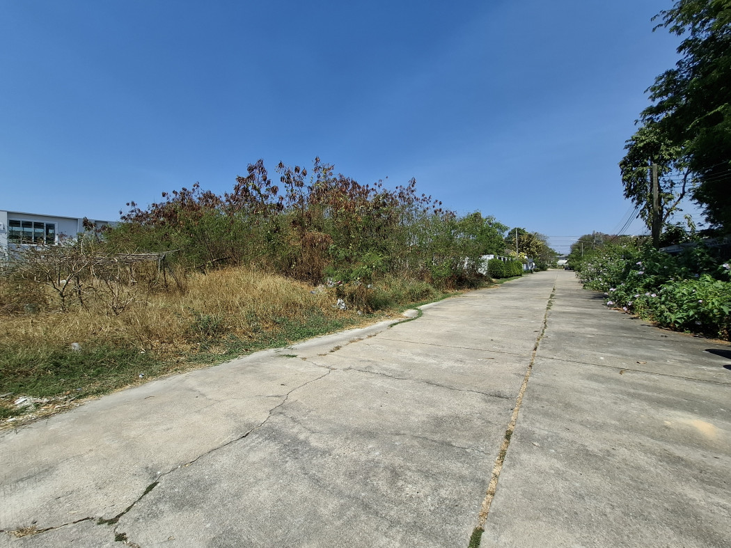 ขาย ที่ดิน หมู่บ้านศรีเจริญวิลล่า เทพารักษ์ 1 ไร่ แปลงมุม. KK – รูปที่ 2