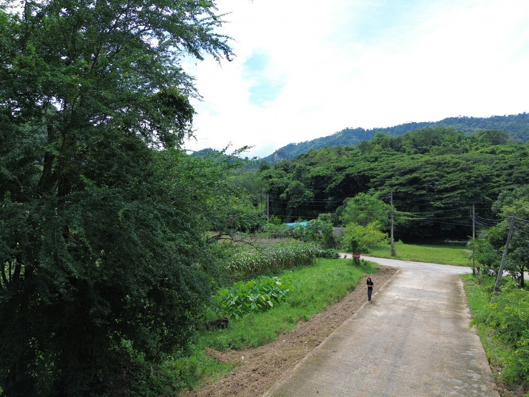 ขาย ที่ดิน เขาใหญ่ ต.​พญาเย็น​ อ.ปากช่อง 3 ไร่ 1 งาน 46 ตรว แค่เห็นวิว ก็มีความสุขแล้ว – รูปที่ 3
