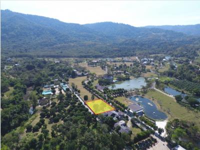 ขาย ที่ดิน เขาใหญ่ ต.​หมูสี​ อ.ปากช่อง 396 ตรว ​แค่เห็นวิว ก็มีความสุขแล้ว
