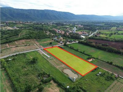 Land for sale in Khao Yai, Pong Ta Long, Pak Chong, 10 rai, good road, beautiful view, near Toscana, cheapest price in this area.