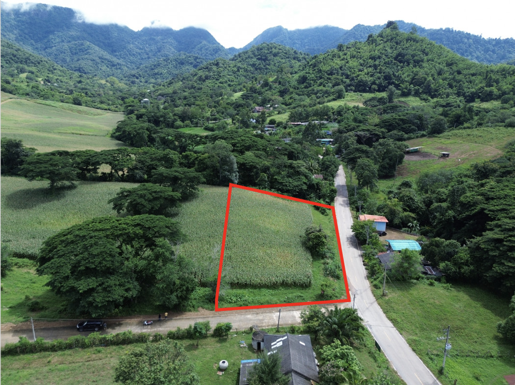 Land for sale, Khao Yai, Phaya Yen, Pak Chong, 3 rai, 1 ngan, 46 sq w. Just seeing the view is enough to make you happy.