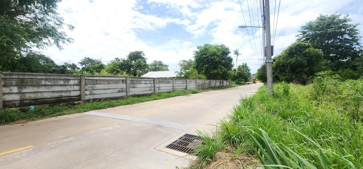ที่ดินพัทยาหนองปลาไหลทำเลทอง