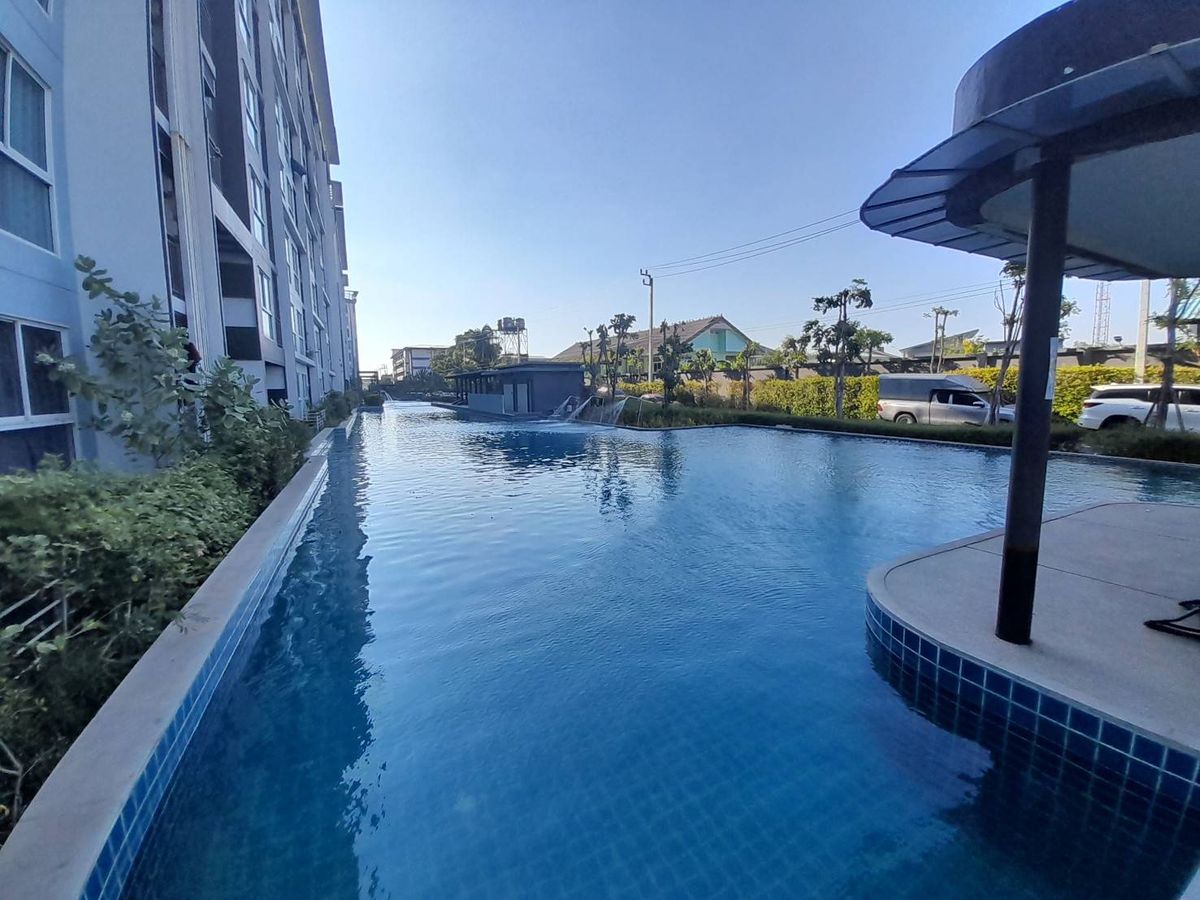 BB 15820 : ไอริส เวสท์เกตIris Westgate   – รูปที่ 4