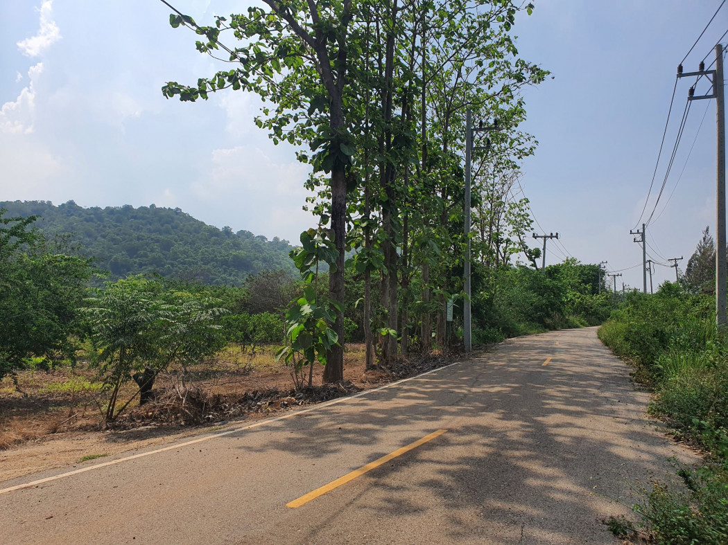 ขาย ที่ดิน เขาใหญ่ ต.​หนองน้ำแดง​ อ.ปากช่อง 11 ไร่ ​ด้านหลังติดภูเขา น่าอยู่มาก​ – รูปที่ 2