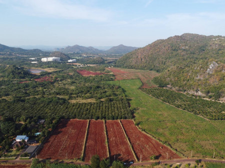 Land for sale in Khao Yai, Nong Nam Daeng Subdistrict, Pak Chong District, 5 rai. Just seeing the view is happy. Land for sale in Khao Yai, Nong Nam Daeng Subdistrict, Pak Chong District, 5 rai. Just seeing the view is happy.