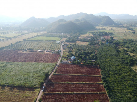 ขาย ที่ดิน เขาใหญ่ ต.หนองน้ำแดง อ.ปากช่อง 5 ไร่ แค่เห็นวิว ก็มีความสุขแล้ว – รูปที่ 4
