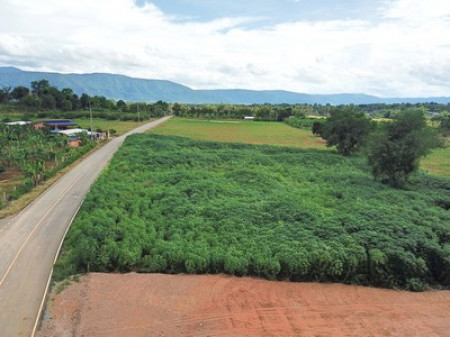 ขาย ที่ดิน เขาใหญ่ ต.โป่งตาลอง อ.ปากช่อง 1 ไร่ 1 งาน 28 ตรว ทำเลดีที่สุดในย่านนี้ – รูปที่ 2