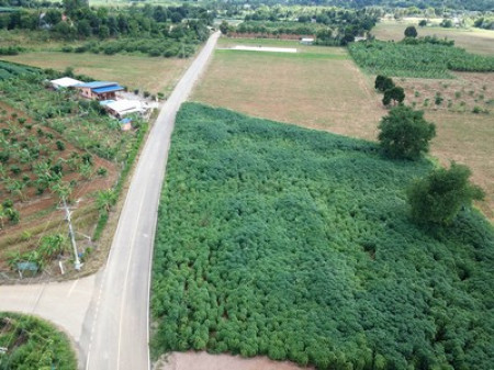 ขาย ที่ดิน เขาใหญ่ ต.โป่งตาลอง อ.ปากช่อง 1 ไร่ 1 งาน 28 ตรว ทำเลดีที่สุดในย่านนี้ – รูปที่ 3