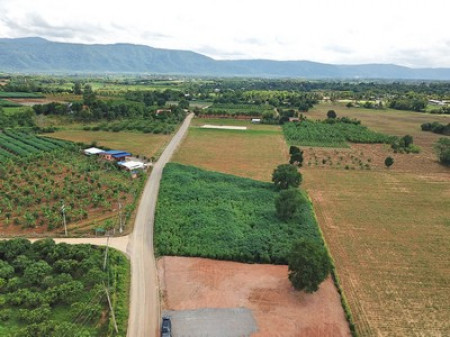 ขาย ที่ดิน เขาใหญ่ ต.โป่งตาลอง อ.ปากช่อง 1 ไร่ 1 งาน 28 ตรว ทำเลดีที่สุดในย่านนี้ – รูปที่ 4
