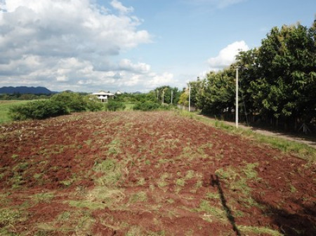 ขาย ที่ดิน ต.หมูสี อ.ปากช่อง 3 ไร่ 1 งาน 63 ตรว เห็นทิวเขา สวยสุดๆ – รูปที่ 2