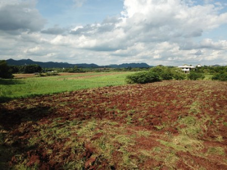 ขาย ที่ดิน ต.หมูสี อ.ปากช่อง 3 ไร่ 1 งาน 63 ตรว เห็นทิวเขา สวยสุดๆ – รูปที่ 3
