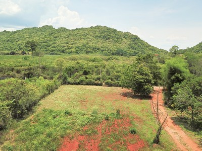 ขาย ที่ดิน ต. หนองน้ำแดง อ.ปากช่อง จ.นครราชสีมา เขาใหญ่ 4 ไร่ มองเห็นทิวเขา สวยงามมาก – รูปที่ 3