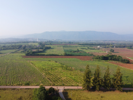 ขาย ที่ดิน เขาใหญ่  วิวสวยเกินคำบรรยาย ต.โป่งตาลอง อ.ปากช่อง 5 ไร่ – รูปที่ 3