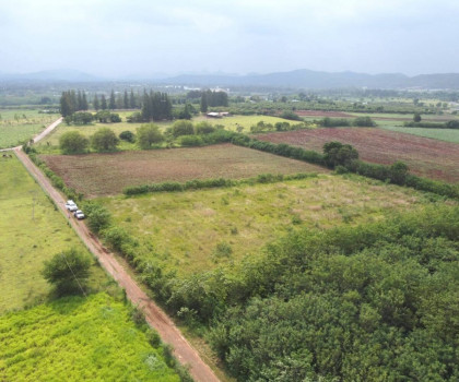 ขาย ที่ดิน ต.โป่งตาลอง อ.ปากช่อง 10 ไร่ เห็นทิวเขา สวยสุดๆ – รูปที่ 2