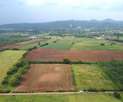 ขาย ที่ดิน ต.โป่งตาลอง อ.ปากช่อง 10 ไร่ เห็นทิวเขา สวยสุดๆ – รูปที่ 4