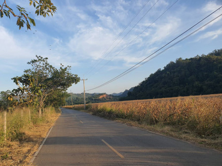 ขาย ที่ดิน เขาใหญ่ ต.หนองน้ำแดง อ.ปากช่อง 20 ไร่ ที่เป็นเนิน เห็นวิว360องศา – รูปที่ 2