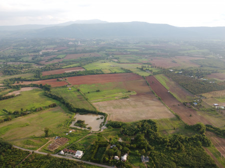 Land for sale in Khao Yai, Pong Tan Subdistrict, Pak Chong District, 199 rai. See the most beautiful mountain range. Land for sale in Khao Yai, Pong Tan Subdistrict, Pak Chong District, 199 rai. See the most beautiful mountain range.
