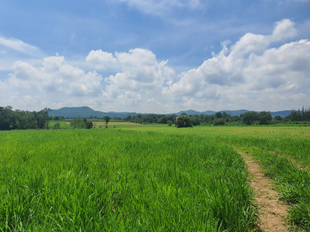 ขาย ที่ดิน เขาใหญ่ ต.หนองสาหร่าย อ.ปากช่อง 8 ไร่ วิวสวยเกินคำบรรยาย – รูปที่ 2