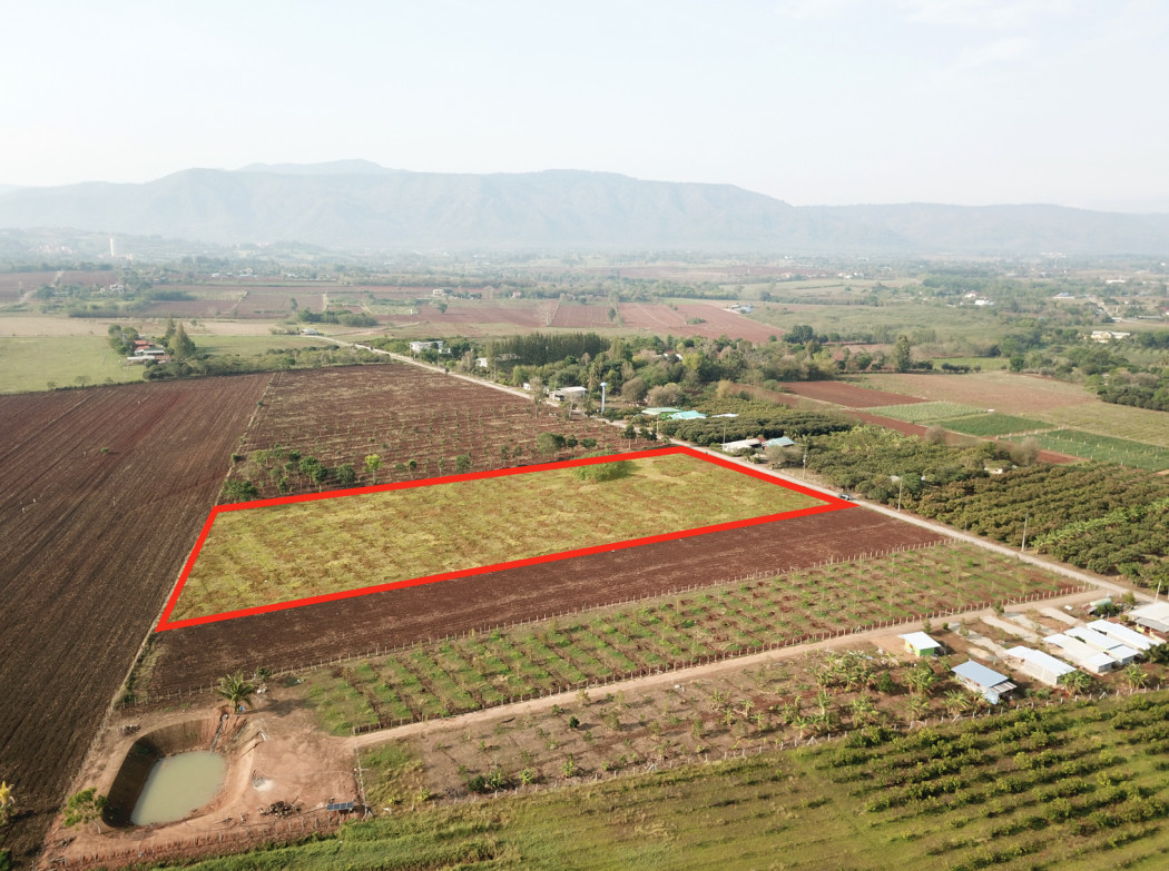 Land for sale in Khao Yai, Pong Tan Subdistrict, Pak Chong District, 10 rai. See the most beautiful mountain range. Land for sale in Khao Yai, Pong Tan Subdistrict, Pak Chong District, 10 rai. See the most beautiful mountain range.